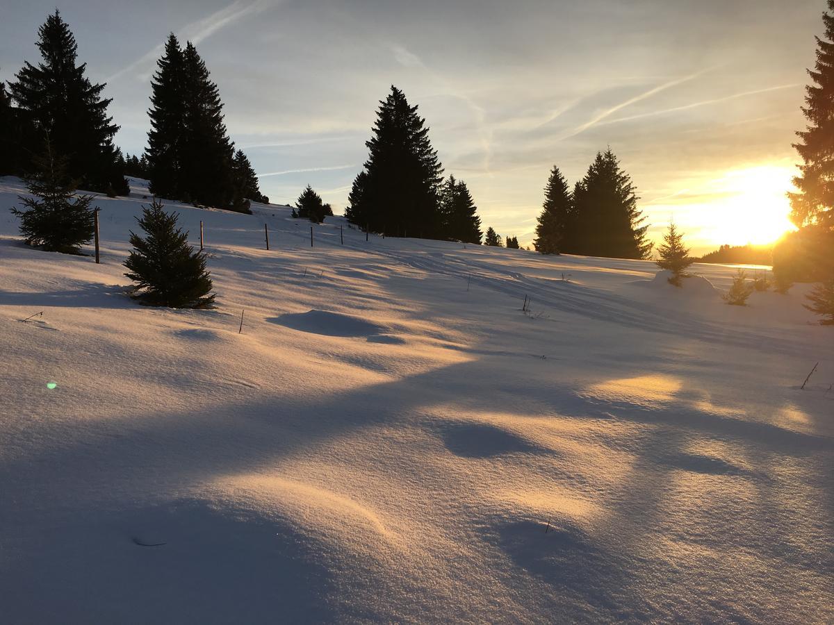 Schwarzwald-Hotel Kraeutle Feldberg  Exteriör bild